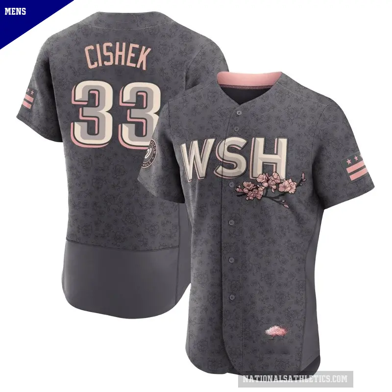 Men's No.33 Steve Cishek Washington Nationals Gray Authentic 2022 City Connect Jersey