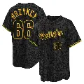 Men's No.66 Zach Brzykcy Washington Nationals Black Replica Snake Skin City Jersey