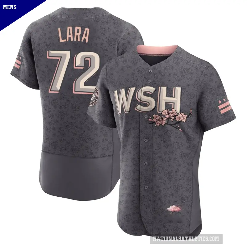 Men's No.72 Andry Lara Washington Nationals Gray Authentic 2022 City Connect Jersey
