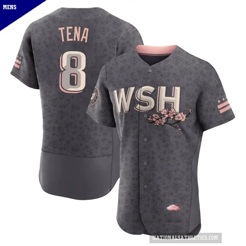 Men's No.8 Jose Tena Washington Nationals Gray Authentic 2022 City Connect Jersey