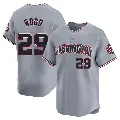 Youth No.29 James Wood Washington Nationals Gray Limited Road Jersey