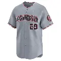 Youth No.29 James Wood Washington Nationals Gray Limited Road Jersey