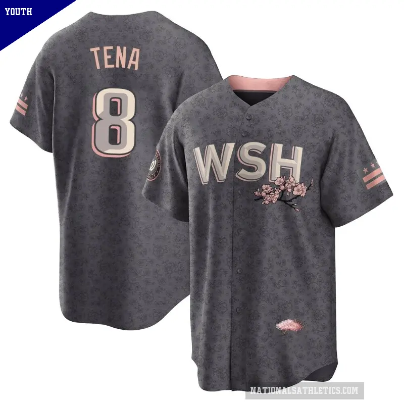 Youth No.8 Jose Tena Washington Nationals Gray Replica 2022 City Connect Jersey